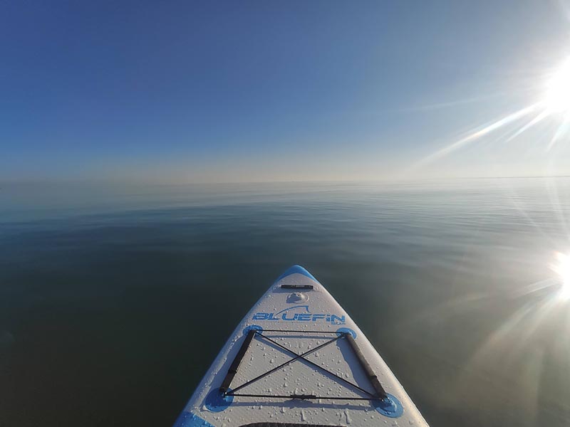 Paddle Board Bluefin